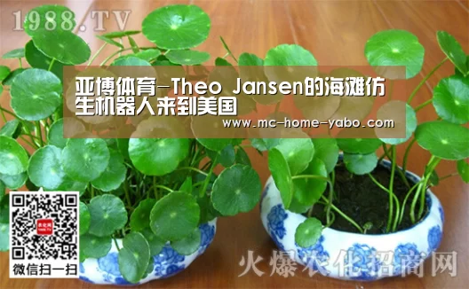 亚博
