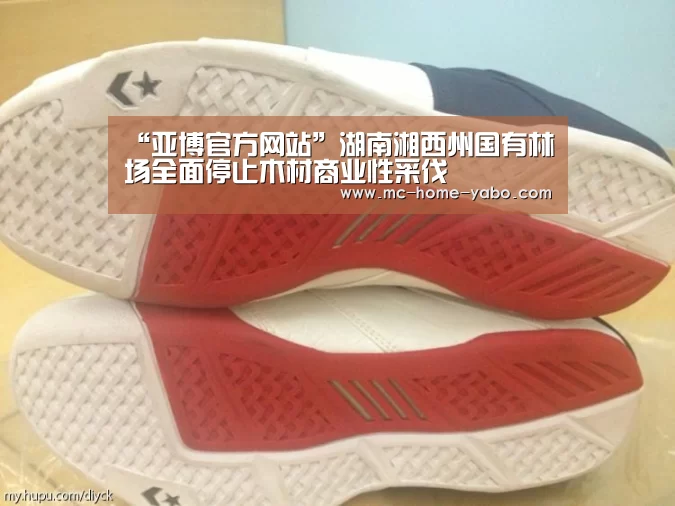 亚博官方网站