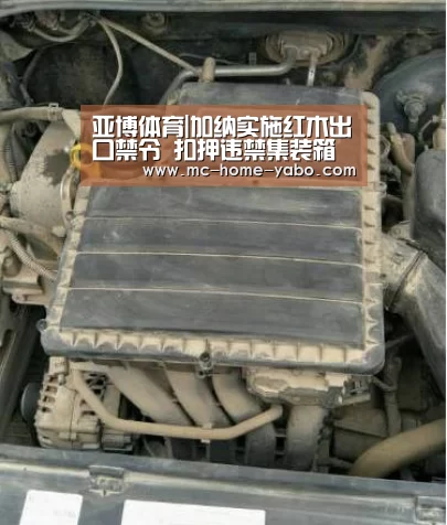 亚博体育|加纳实施红木出口禁令 扣押违禁集装箱(图4) 亚博